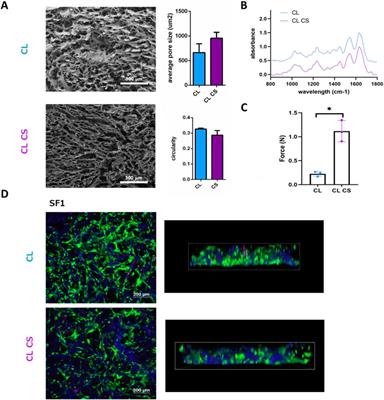 Immunosuppressive potential evaluation of synovial fluid mesenchymal stem cells grown on 3D scaffolds as an alternative source of MSCs for osteoarthritis cartilage studies